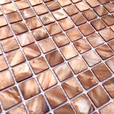 sample sheel mosaic tile model nacarat marron