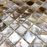 Azulejo mosaico de nacar para suelo ducha y pared bano 1m Nacarat naturel