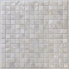 Mosaic tile shell for shower floor and wall bathroom Nacarat Blanc