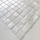 Mosaic tile shell for shower floor and wall bathroom Nacarat Blanc